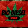 introducing-the-bio-diesel-strain