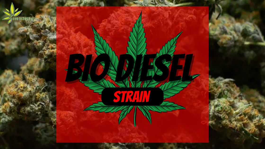 Bio Diesel Strain Review and information