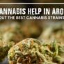 can-cannabis-help-in-arousal-find-out-the-best-cannabis-strains-here