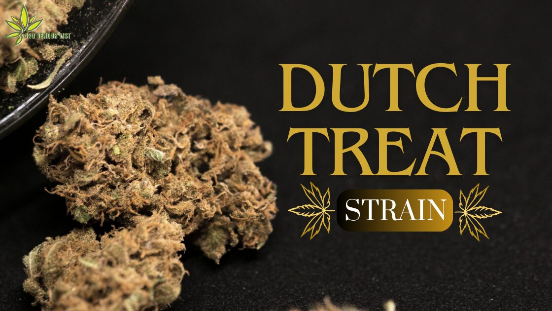 Dutch Treat Strain: An Indica-Dominant Strain