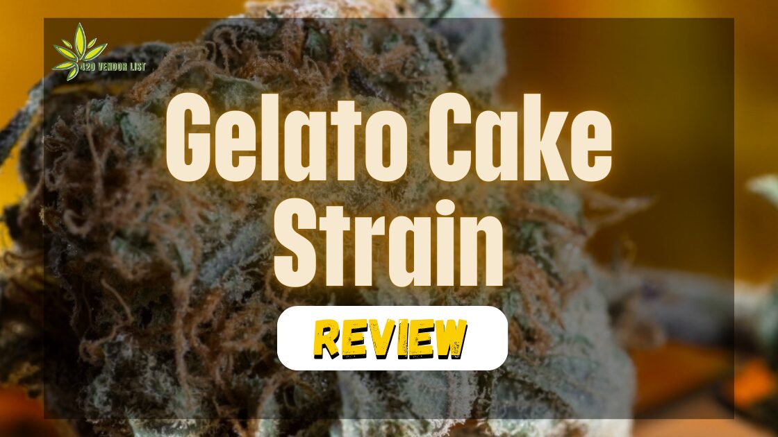 Gelato Cake Strain Review