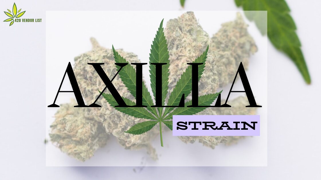 Axilla Strain