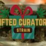 gifted-curators-offering-dcs-most-exotic-strains