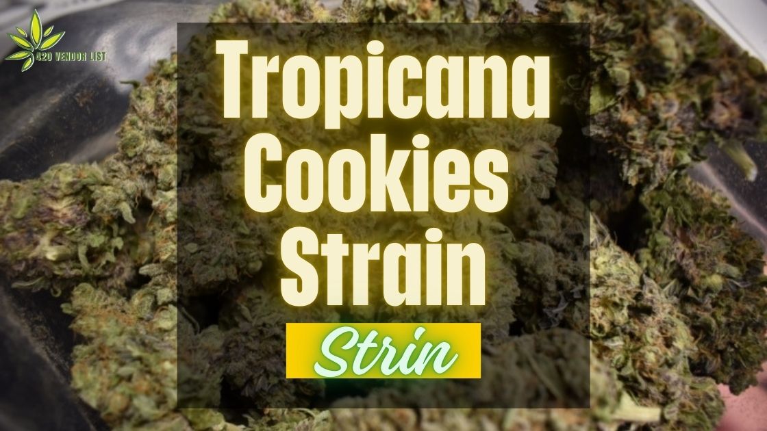 Tropicana Cookies Strain