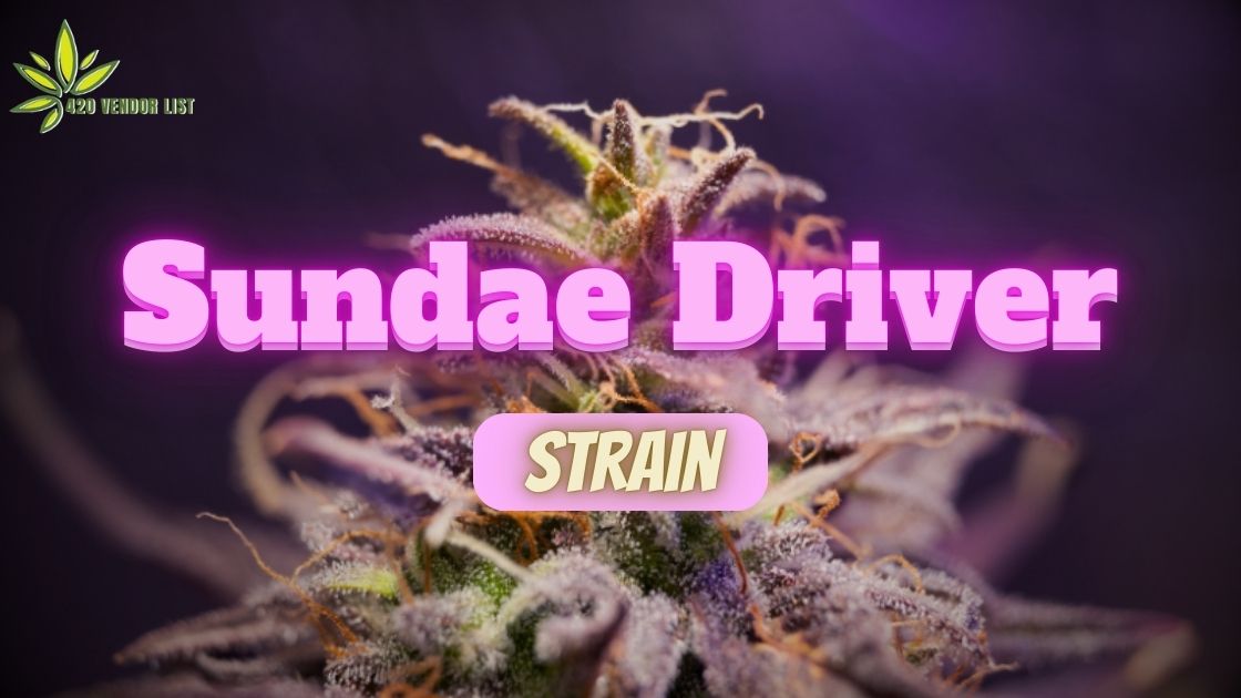 Sundae Driver Strain