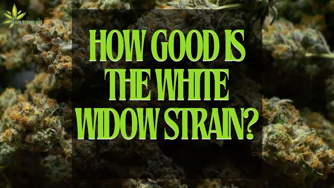 White Widow Strain