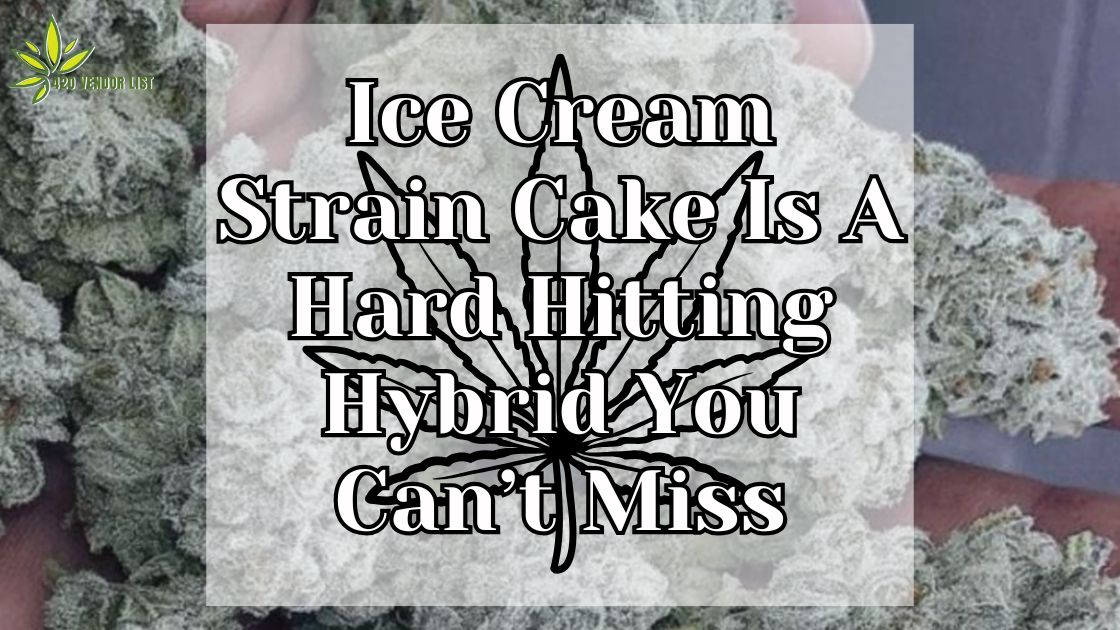 Ice Cream Cake Strain Review