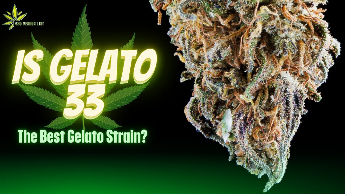 Is Gelato 33 The Best Gelato Strain?