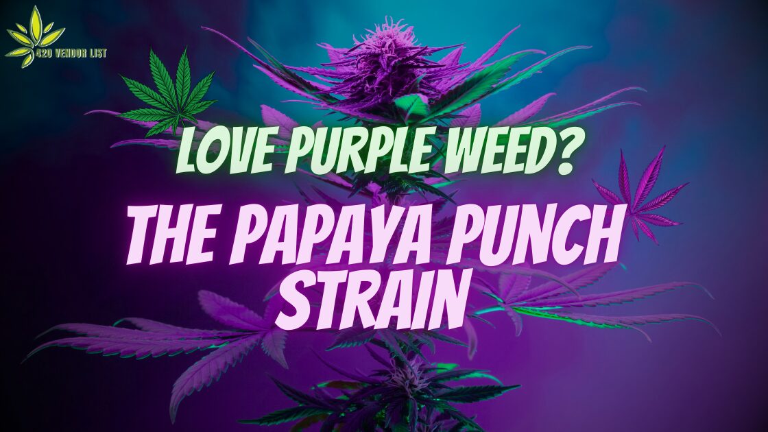 Love Purple Weed? Try The Papaya Punch Strain