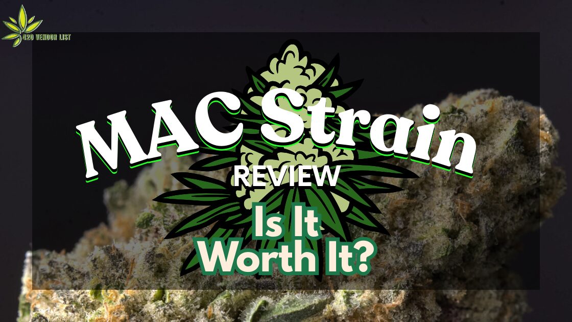 MAC Strain Review: Is It Worth It?