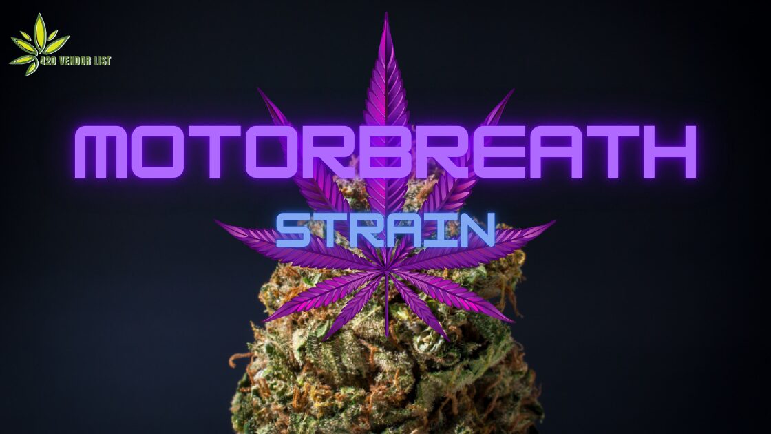 Motorbreath Strain: Ignite Your Senses with this High-Octane Cannabis Gem