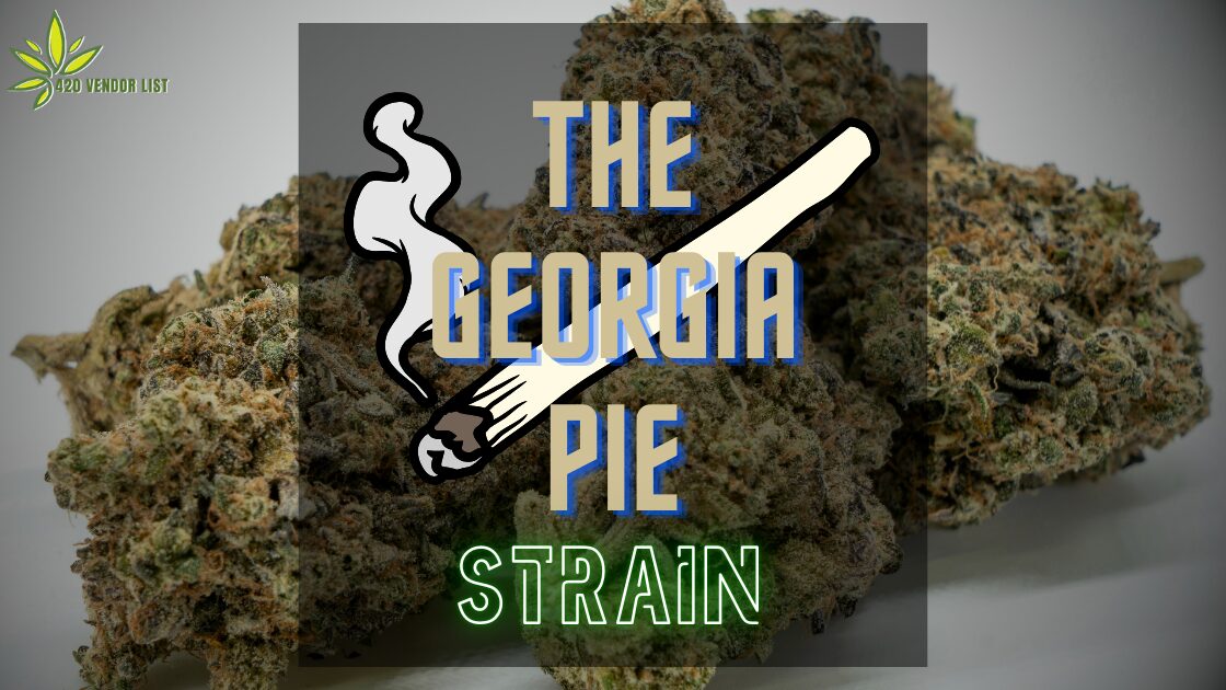 The Georgia Pie Strain