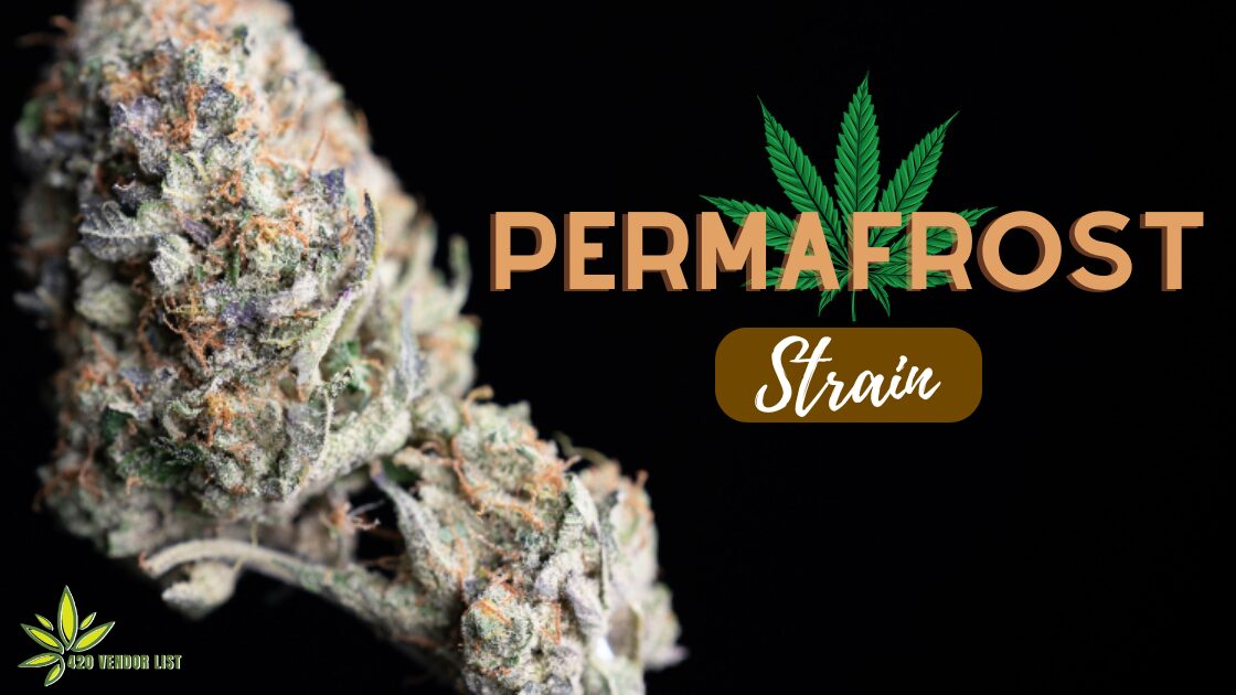 Permafrost Strain