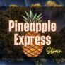 pineapple-express-strain-is-it-worth-the-hype