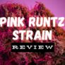 powerful-pink-runtz-strain-review