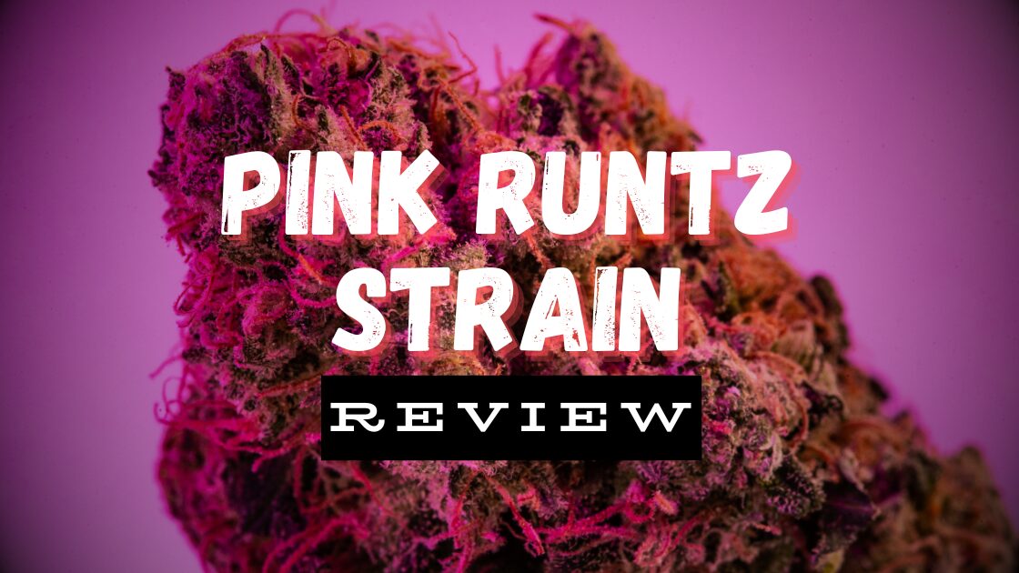 Powerful Pink Runtz Strain Review