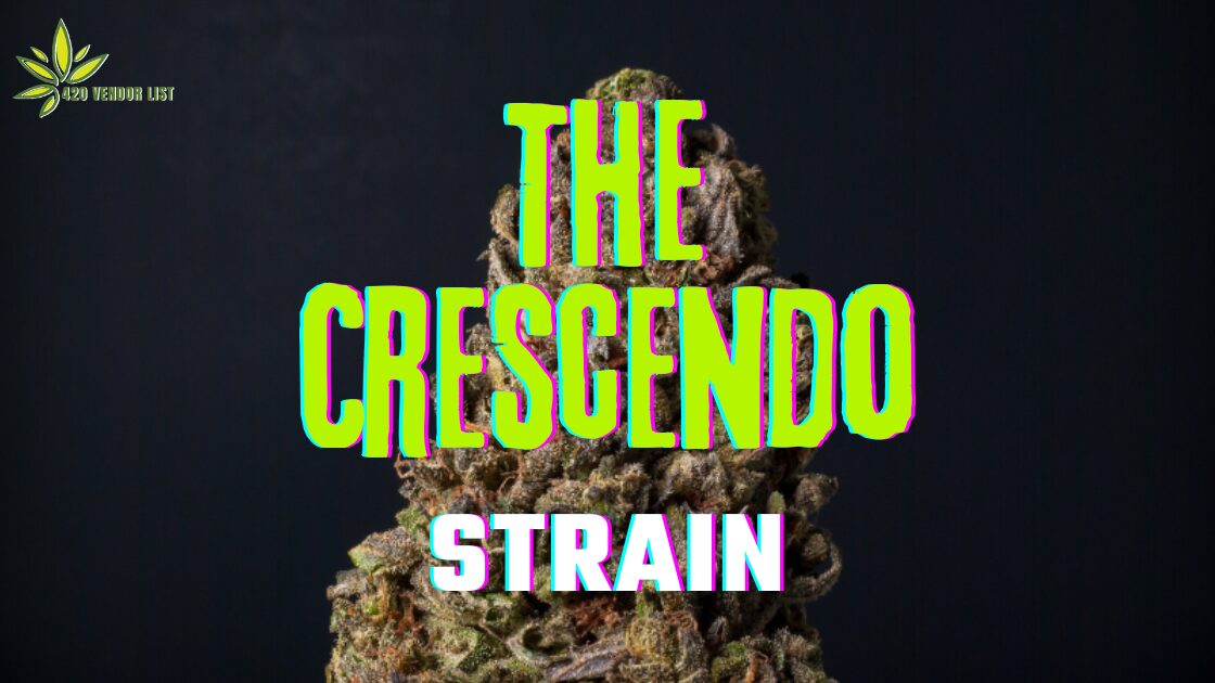 Read This Before You Try The Crescendo Strain