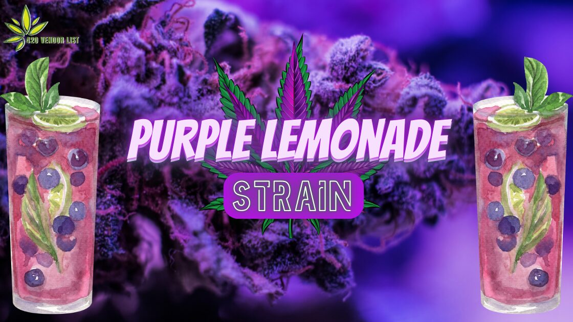 Sip on the Purple Lemonade Strain [Weed Review]