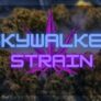 skywalker-strain-review-is-it-worth-it