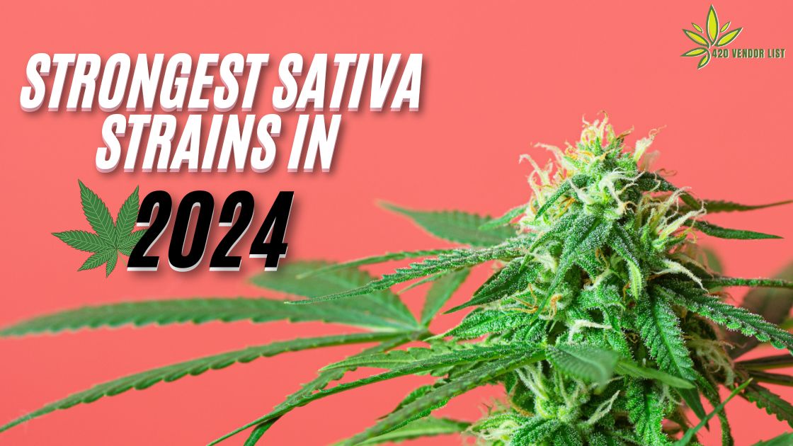 Strongest Sativa Strains in 2024