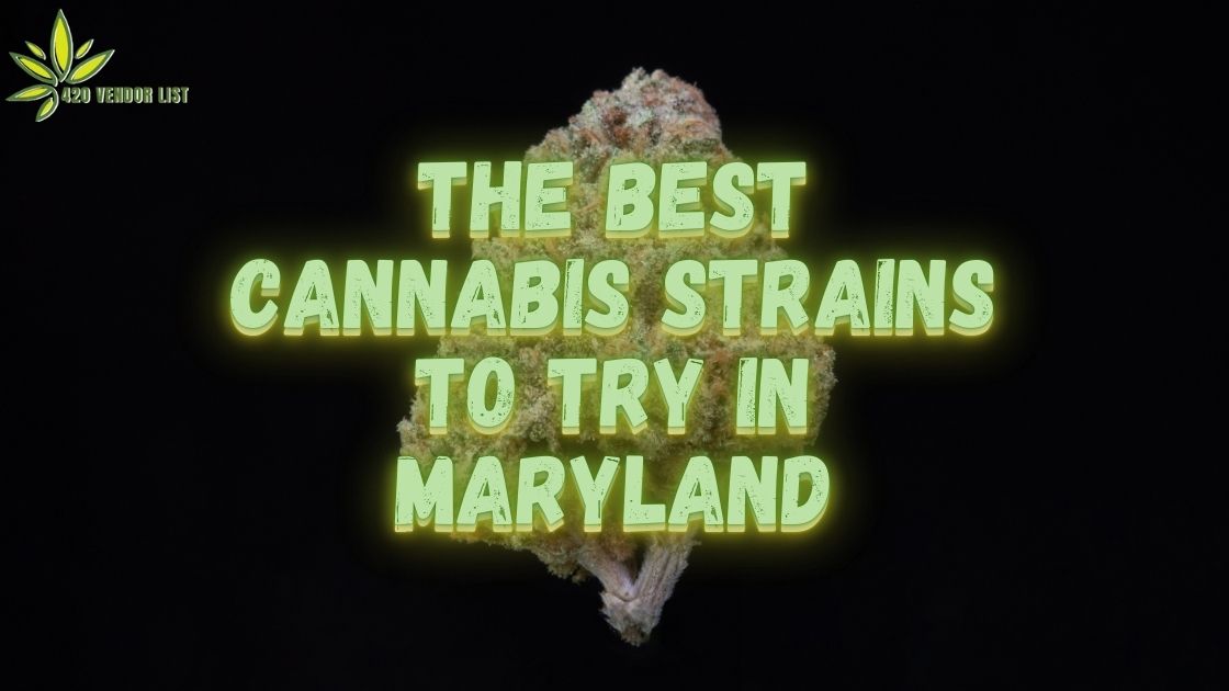 Best Cannabis Strains in Maryland