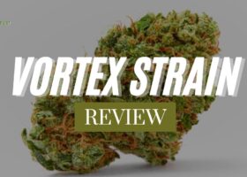 Vortex Strain