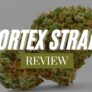 vortex-strain-review-is-it-worth-it