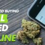 a-guide-to-buying-real-weed-online