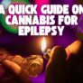 a-quick-guide-on-cannabis-for-epilepsy