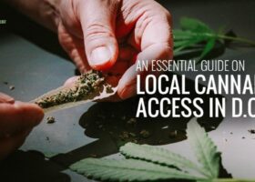 Local Cannabis Access in D.C.