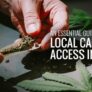 an-essential-guide-on-local-cannabis-access-in-d-c