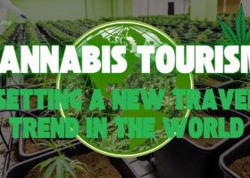 Cannabis Tourism