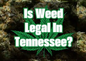 Is Weed Legal In Tennessee