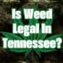 is-weed-legal-in-tennessee