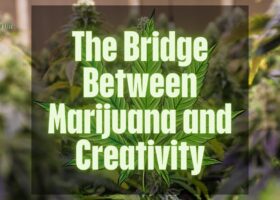 Marijuana and Creativity