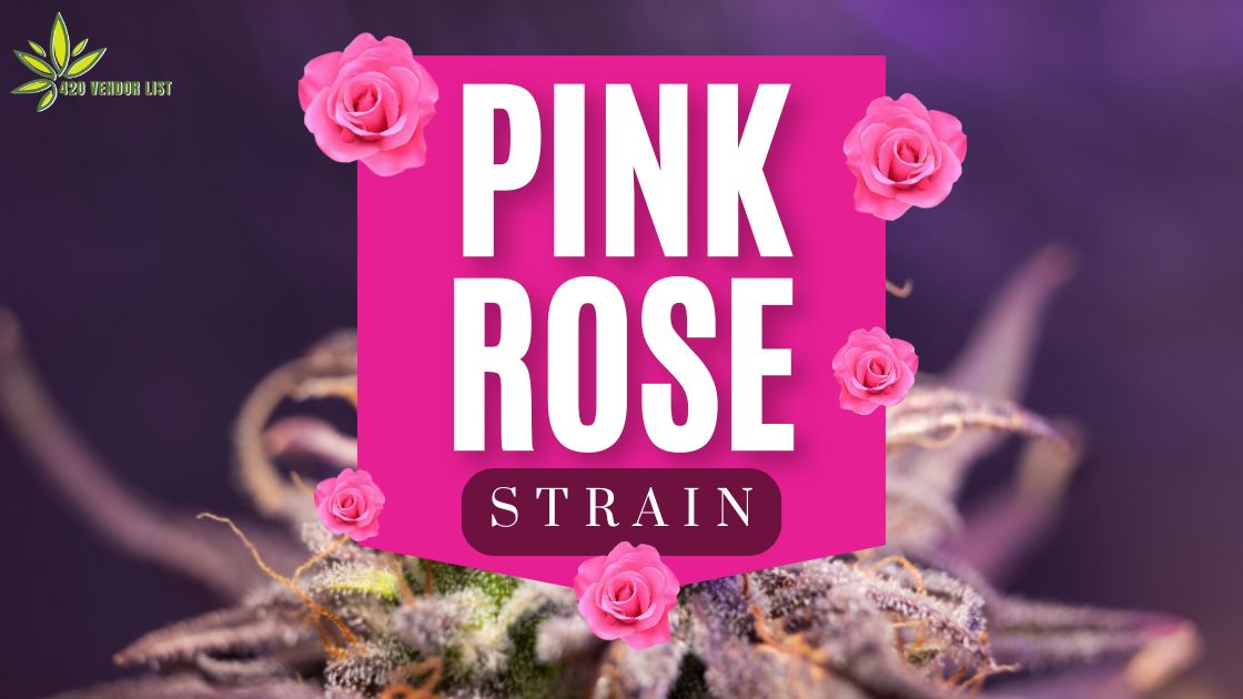 Pink Rose Strain