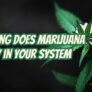 how-long-does-marijuana-stay-in-your-system