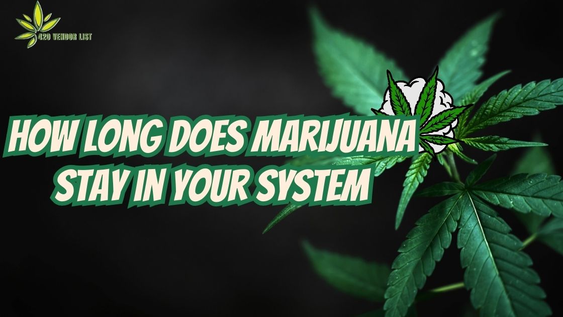 How Long Does Marijuana Stay in Your System