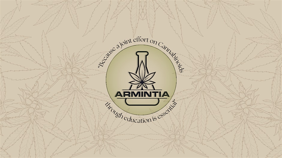 Freedom to Navigate: Building Your Own Cannabis Roadmap