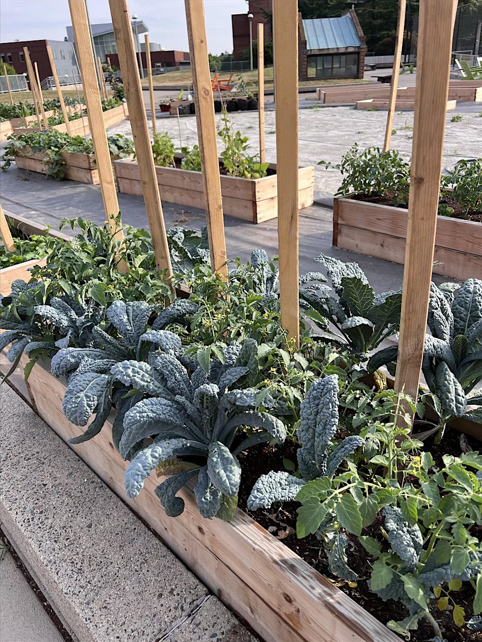 Gallaudet Garden Volunteer