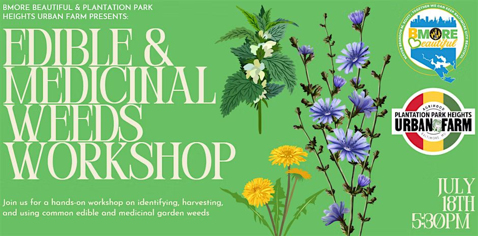 Edible & Medicinal Weeds Workshop