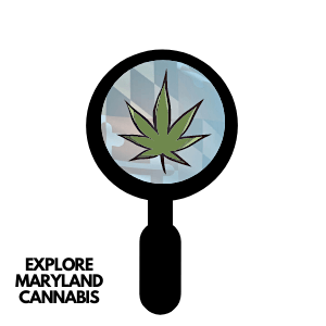 weed deals